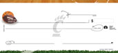 University of Cincinnati- Sports