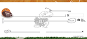 University of Kansas- Sports