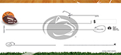 The Pennsylvania State University- Sports