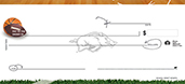 University of Arkansas- Sports