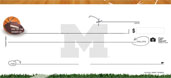 University of Michigan- Sports