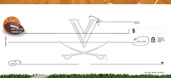 University of Virginia- Sports