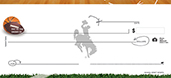 University of Wyoming- Sports