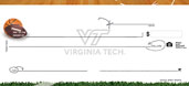 Virginia Tech- Sports