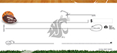 Washington State- Sports