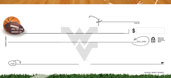 West Virginia University- Sports